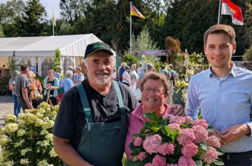 Rispenhortensien Schau im Hortensienpark Erbsmühle