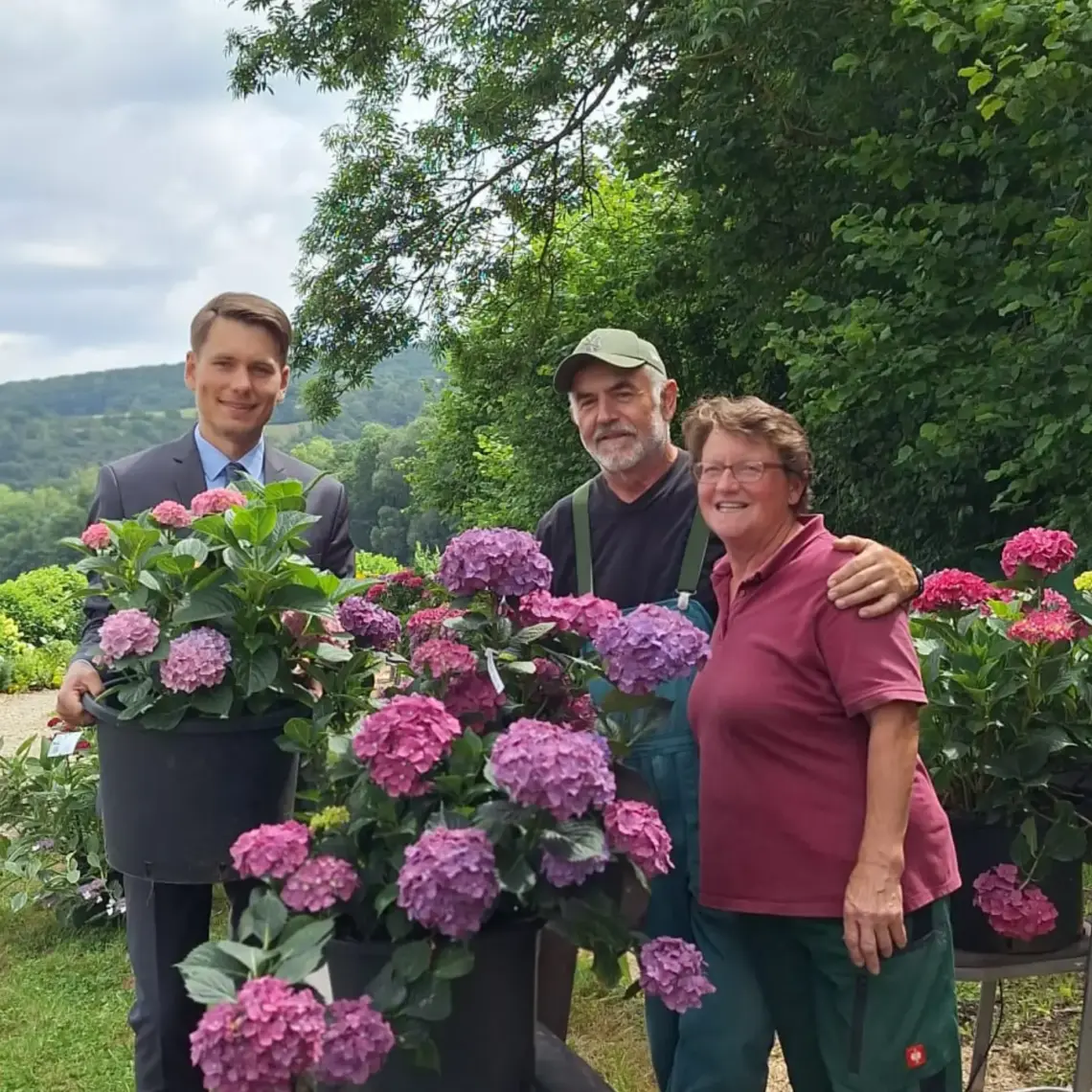 Dritte Hessische Hortensienschau in Großalmerode