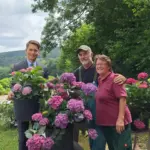 Dritte Hessische Hortensienschau in Großalmerode