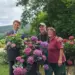 Dritte Hessische Hortensienschau in Großalmerode